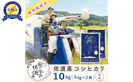 【新米予約】佐渡島産コシヒカリ 白米10kg（5kg×2袋） 特別栽培米 農家直送 1058866 - 新潟県佐渡市