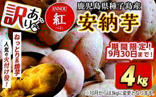 【期間限定】【訳あり】種子島産安納紅いも 4kg 2S～2LMIX 2277590 - 鹿児島県中種子町