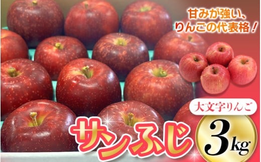 ≪12月上旬より順次発送≫ 『数量限定』 大文字りんご園 サンふじ 約3kg (中玉7～10玉) / 樹上完熟 りんご リンゴ 林檎 果物 くだもの フルーツ 甘い 旬 産地直送【dma513-sf-3C】