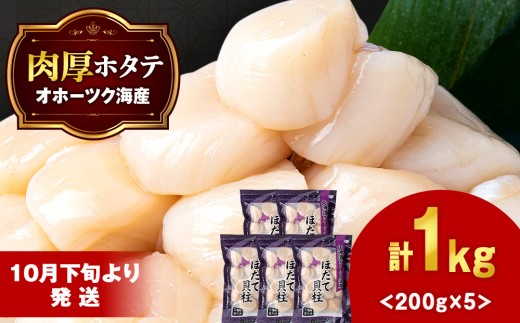 [10月下旬以降発送] ほたて 貝柱 冷凍 200g(15粒前後)×5パック お取り寄せ 刺身 [横田水産]