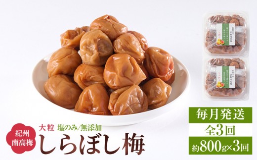 梅干し しらぼし梅  約800g（約400g×2） 塩のみ 無添加 大粒 紀州南高梅 塩分約15％ 和歌山県産 [ 定期便 毎月発送・全3回 ]