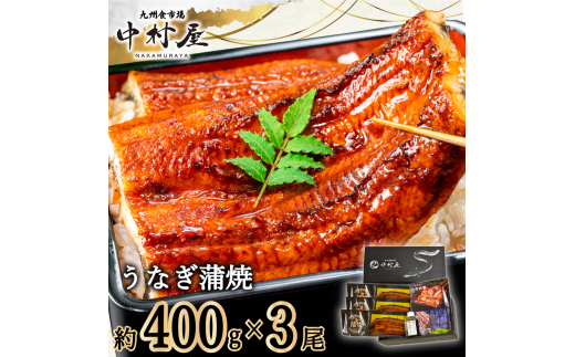 FM064_伝統酵母　うなぎの蒲焼　千栗　400g前後×3尾