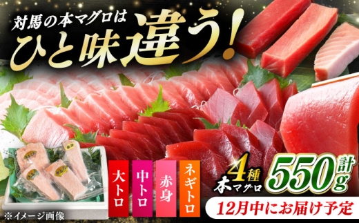 [12月中にお届け]対馬産 本マグロ 4種 計550g(赤身/中トロ/大トロ/ネギトロ)[対馬市][対海][WAH003-12]