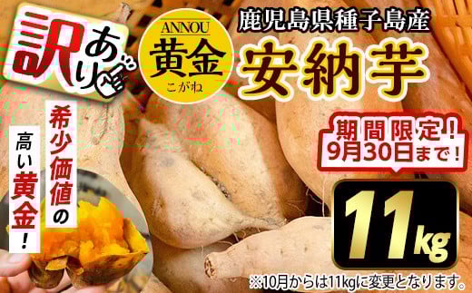 【期間限定】【訳あり】種子島産安納黄金いも 11kg 2S～2LMIX 2277598 - 鹿児島県中種子町