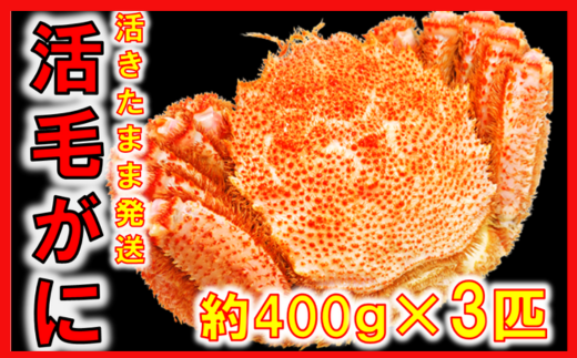 【令和8年発送】三陸産 三陸活毛ガニ 400g×3杯【2026年3月～4月発送】【05】