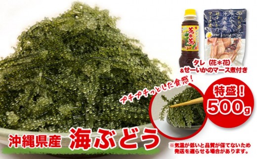 南城市産海ぶどう500ｇ