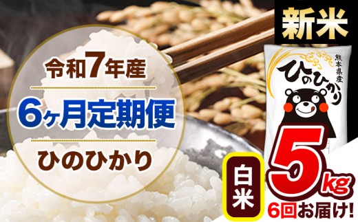 【6ヶ月定期便】新米 令和7年産 定期便 ひのひかり 5kg 《申込み翌月から発送》令和7年産 熊本県産 ふるさと納税 白米 精米 ひの 米 こめ ふるさとのうぜい ヒノヒカリ コメ 熊本米 ひのもり 1568872 - 熊本県玉東町