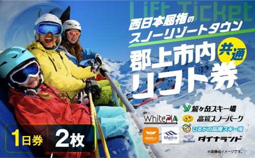 郡上市内スキー場リフト1日券(2枚) カタログギフト チケット その他 40000円 G0134b