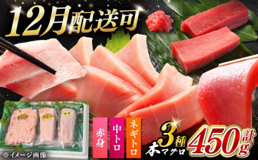 冷凍 マグロ まぐろ 中トロ 中とろ 鮪 本マグロ 赤身 ねぎとろ ネギトロ たたき トロ 刺身 海鮮 海産物 魚 柵 