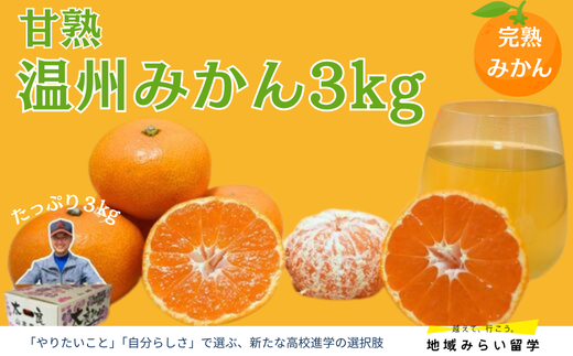 画像はイメージです。