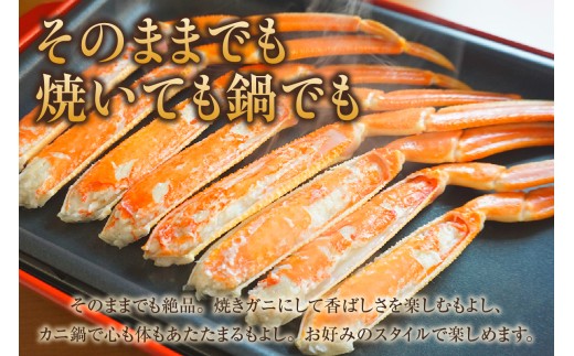 訳あり　本ズワイガニ　2Lサイズ4肩