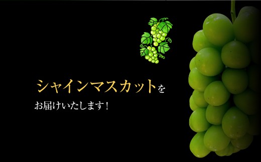 熊本県産 シャインマスカット 約1.7kg以上（2～4房）