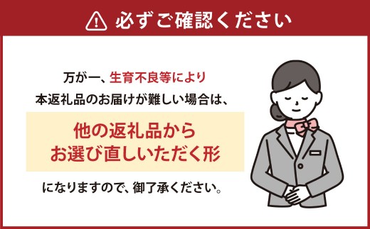 【年6回定期便】くまもとぐるっと名産品満喫定期便① 