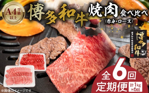 博多和牛赤身・ロース焼肉食べ比べ　計1kg　6回定期便 _Tk054