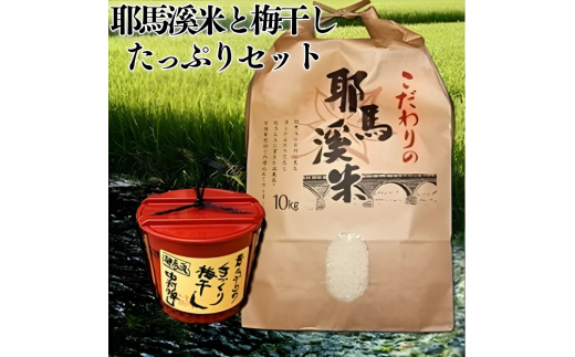 耶馬溪米と梅干したっぷりセット 米10kg 昔ながらの手づくり梅干し1.3kg | お米 米 おこめ こめ 白米 精米 耶馬渓米 ご飯 ごはん 梅干し 梅 手作り セット 大分県 中津市