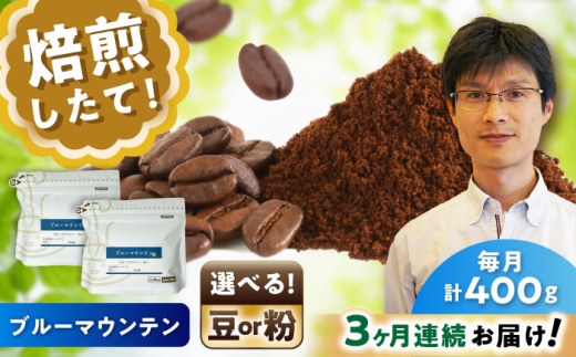 [全3回定期便]ブルーマウンテンNo.1 コーヒー粉 200g×2個(粉/中挽き) / コーヒー ドリップ 粉 / 瀬戸市 / Coffee SAKURA [BBAB087]
