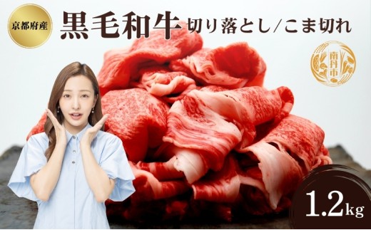 [№5334-0332]京都府産 黒毛和牛 切り落とし こま切れ 1.2kg
