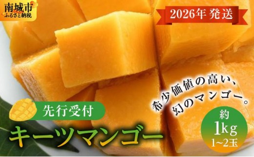 (先行受付)【2026年発送】キーツマンゴー 南城市 約1kg (1～2玉)
