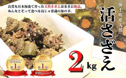 【入荷次第順次発送】島獲れ活さざえ2kgセット 日本海の離島の新鮮なさざえを約20匹お届けします! 冷蔵便 サザエ 栄螺 貝 海鮮 BBQ さざえご飯 壺焼き 刺身 バーベキュー ギフト お中元 御中元