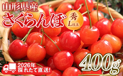 FYN6-252 ≪2026年先行予約≫山形県産 さくらんぼ 品種おまかせ(佐藤錦・紅秀峰など) 400g 秀/L以上 バラパック詰め 2026年6月中旬頃より発送 果物 くだもの フルーツ 夏果実 サクランボ チェリー 桜桃 高級 化粧箱 ギフト箱 贈り物 贈答 ギフト プレゼント 自宅 家庭 産地直送 山形県 西川町 月山