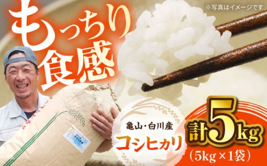 おいしい!亀山・白川産コシヒカリ 5kg 亀山市/せせらぎの里営農組合 お米 コシヒカリ 送料無料 [AMAX003]