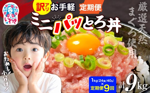 〈定期便9回〉ねぎとろ使い切りパック　約1kg（約40g×24パック） | まぐろ まぐろたたき ねぎとろ マグロ パーティー 使い切りパック 海鮮丼 お寿司 軍艦巻き 福島県 いわき市 父の日 | DK011-1kg-t9 2278324 - 福島県いわき市