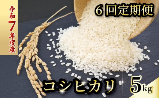 【お米定期便】 【6回】 令和7年度 コシヒカリ 数量限定 各5キロ 米 コメ 減農薬栽培 お米 精米 早場米 新米 ご飯 おにぎり こめ 白米 低化学肥料 高知県 南国市