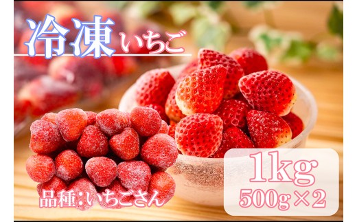 DV227_冷凍いちご（いちごさん）1kg(500gX2)