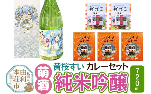 【萌酒】黄桜すい（純米吟醸）とカレーセット 2278352 - 秋田県由利本荘市