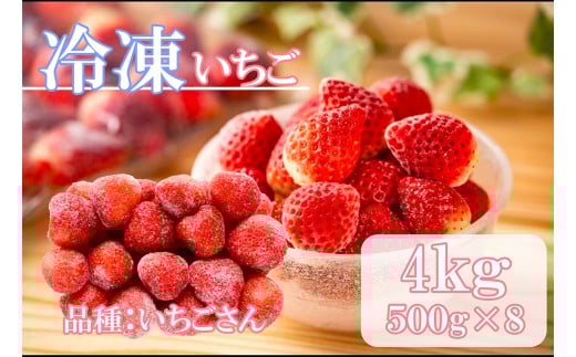 DV230_冷凍いちご（いちごさん）4kg(500gX8)