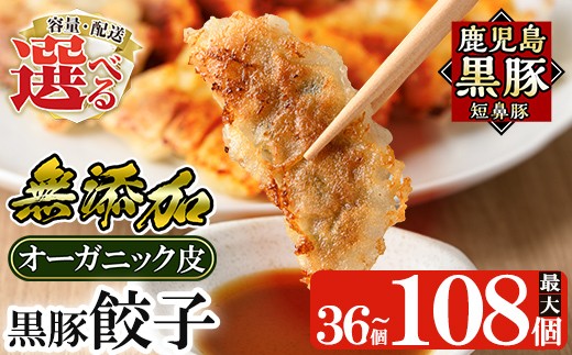[容量・定期便が選べる]鹿児島黒豚「短鼻豚」餃子セット(オーガニック皮使用)(36個・84個・3回定期便) [鹿児島ますや]姶良市 ギョーザ 餃子 無添加 惣菜 おかず おつまみ 冷凍 黒豚 国産野菜 ぎょうざ a006