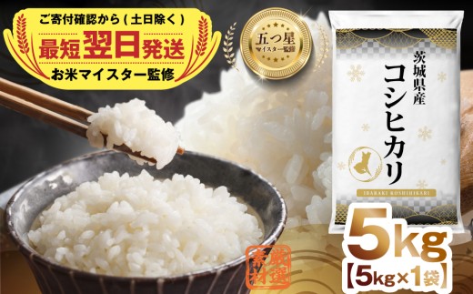 【 最短 翌日発送 】令和7年産 茨城県産 コシヒカリ 5kg ( 5kg ×1袋) 五つ星 お米マイスター 監修 こしひかり 国産 こめ コメ 米 精米 すぐ発送 人気 美味しい ランキング ふるさと納税 返礼品