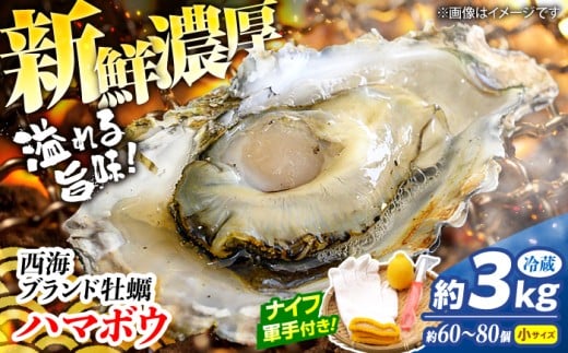 【先行予約】【2026年2月よりお届け】【着日指定可】 西海ブランド 牡蠣 「 ハマボウ 」 約3kg（60～80個）（小サイズ） 便利なナイフ・軍手付き♪ ＜ハマフジ水産＞ [CES010] 牡蠣 カキ かき 生牡蠣 真牡蠣 ナイフ付き 殻付き 牡蠣 かき カキ 1053127 - 長崎県西海市