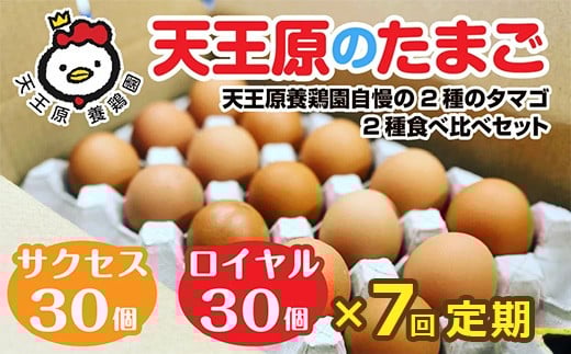 【定期便】7回定期【天王原のたまご】 サクセス卵30個/ロイヤル卵30個 【7回定期便 セット たまご 卵 玉子 タマゴ 濃厚 食べ比べ ハリ 弾力 ボリューム 甘味 旨味 卵黄 風味 生 コク 甘味 卵かけご飯 卵焼き 目玉焼き オムレツ 茶碗蒸し お菓子作り パンの材料】