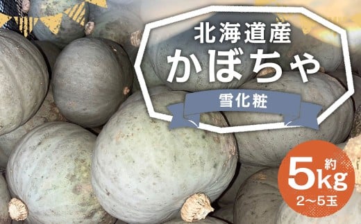 北海道産 かぼちゃ （雪化粧） 約5kg セット 山田農場 【2025年10月上旬～10月下旬迄発送予定】 南瓜 カボチャ 冬至用かぼちゃ 野菜 やさい 北海道 京極町 常温