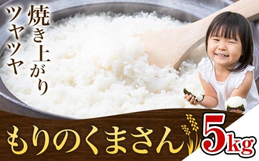 米 もりのくまさん 米 計5kg 《30日以内に出荷予定(土日祝除く)》 お米 こめ 熊本県産 精米 ブランド米 ご飯