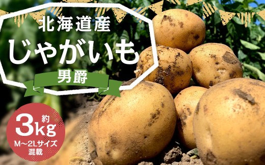 北海道産 じゃがいも (男爵) 約3kg 山田農場 [2025年9月下旬〜2026年3月上旬迄発送予定] だんしゃく ジャガイモ 芋 いも 野菜 やさい ほくほく 北海道 京極町 常温