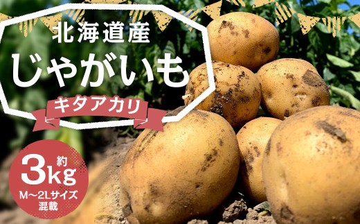 北海道産 じゃがいも （キタアカリ） 約3kg 山田農場 【2025年9月下旬～2026年3月上旬迄発送予定】 きたあかり 栗じゃが ジャガイモ 芋 いも 野菜 やさい 北海道 京極町 常温