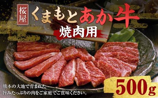 熊本県産 和牛 くまもとあか牛 （GI） 焼肉用 約500g 牛肉 熊本 お肉 肉 焼き肉 焼肉  2278162 - 熊本県水俣市