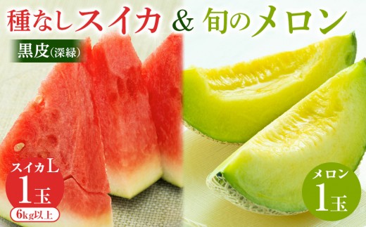 253.黒皮（深緑）種なしスイカと旬のメロンセット（こちらの返礼品は、大栄西瓜ではありません） ※6月上旬～7月下旬頃に順次発送予定【西瓜 スイカ メロン セット商品  果物 フルーツ くだもの 鳥取県 北栄町 おすすめ 人気 送料無料】 660796 - 鳥取県北栄町