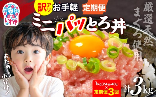 〈定期便3回〉ねぎとろ使い切りパック　約1kg（約40g×24パック） | まぐろ まぐろたたき ねぎとろ マグロ パーティー 使い切りパック 海鮮丼 お寿司 軍艦巻き 福島県 いわき市 父の日 | DK011-1kg-t3 2278322 - 福島県いわき市