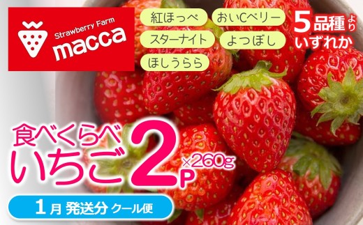 「ひょうご推奨ブランド」認証「西脇市産いちご食べくらべセット」（1箱2パック）令和８年１月下旬配送分～いちご畑macca～（06-39）