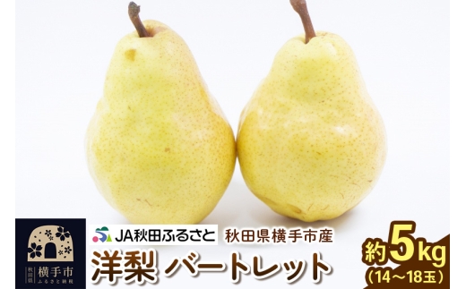 秋田県横手市産 洋ナシ バートレット 約5kg（14～18玉）