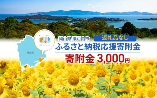 瀬戸内市への応援寄附（返礼品はありません）1口 3,000円 返礼品なし [№5735-2099]