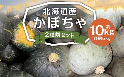 北海道産 かぼちゃ （ブラックのジョー） 約5kg ・ 北海道産かぼちゃ （雪化粧） 約5kgセット 山田農場 【2025年10月上旬～10月下旬迄発送予定】 南瓜 カボチャ 冬至用かぼちゃ 野菜 やさい 北海道 京極町 常温