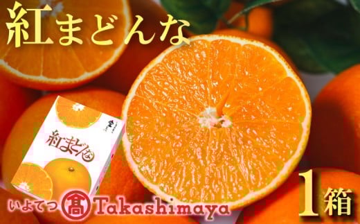 【2025年12月から発送】紅まどんな 約2.7kg 青秀 L ~ 3Lサイズ（ 10 ～15玉 ） 愛媛県産 みかん 柑橘 オレンジ フルーツ 果物 愛果28号 新鮮 愛媛県 松山市