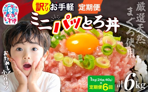 〈定期便6回〉ねぎとろ使い切りパック　約1kg（約40g×24パック） | まぐろ まぐろたたき ねぎとろ マグロ パーティー 使い切りパック 海鮮丼 お寿司 軍艦巻き 福島県 いわき市 父の日 | DK011-1kg-t6 2278323 - 福島県いわき市
