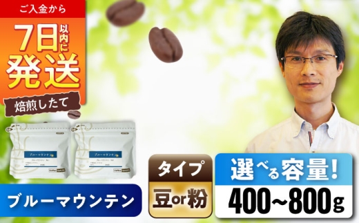 ブルーマウンテンNo.1 コーヒー粉 200g×2個(粉/中挽き) / コーヒー ドリップ 粉 / 瀬戸市 / Coffee SAKURA [BBAB086]