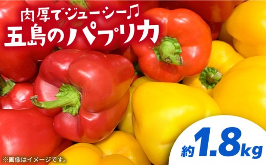 【肉厚ジューシー】五島のパプリカ 約1,8kg 五島市/HPIファーム [PCP008] 野菜 やさい 国産 新鮮 緑黄色野菜 産地直送 とれたて