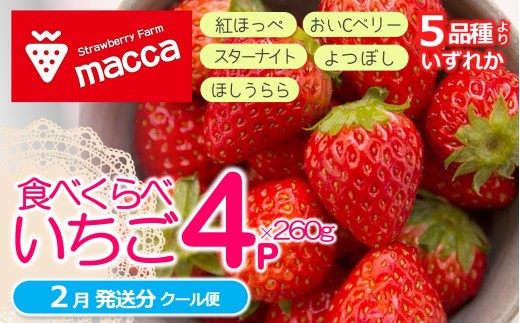 「ひょうご推奨ブランド」認証「西脇市産いちご４種セット」（1箱4パック）～いちご畑macca～（11-47） 令和８年２月下旬配送分